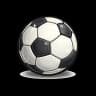 pelota