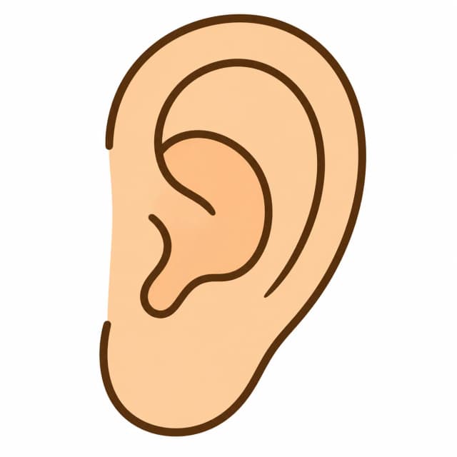 oreja (ear)