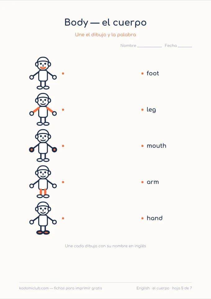 El cuerpo en inglés, hoja 5