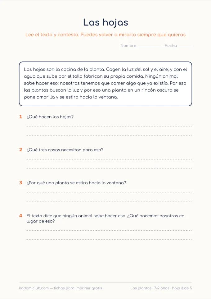 Leer sobre las plantas, hoja 3