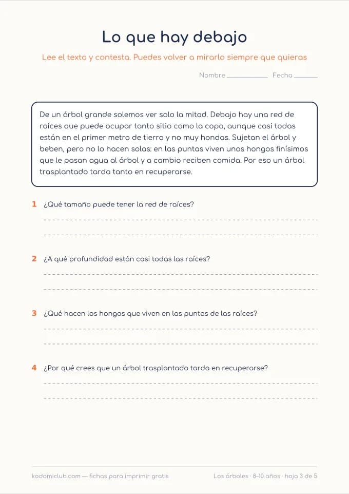 Leer sobre los árboles, hoja 3