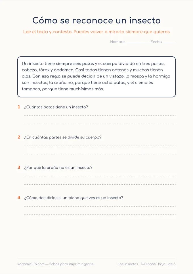 Leer sobre los insectos. Ficha para imprimir, 7–10 años