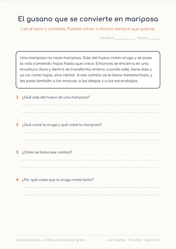 Leer sobre los insectos, hoja 2