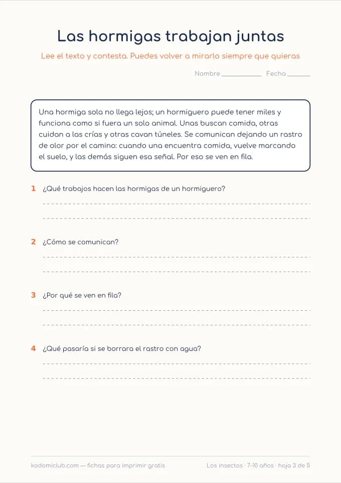 Leer sobre los insectos, hoja 3