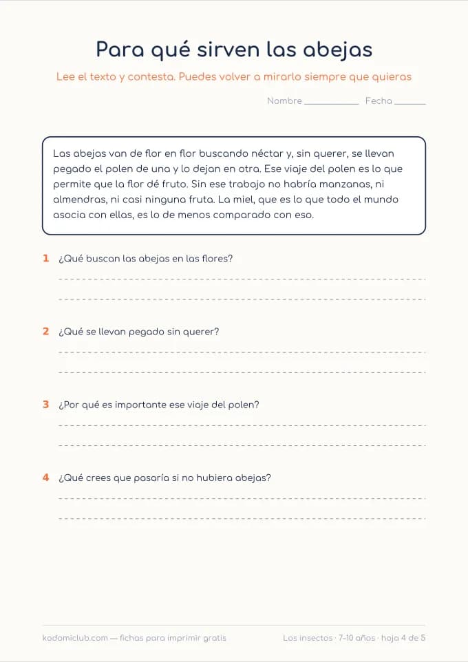 Leer sobre los insectos, hoja 4