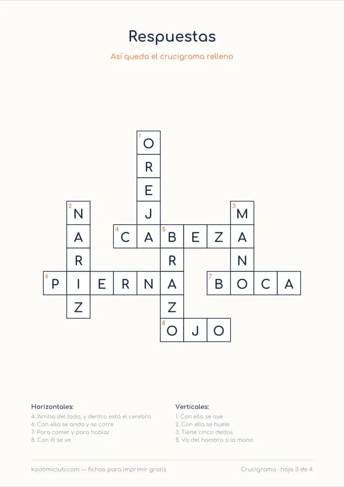 Crucigrama del cuerpo, hoja 3