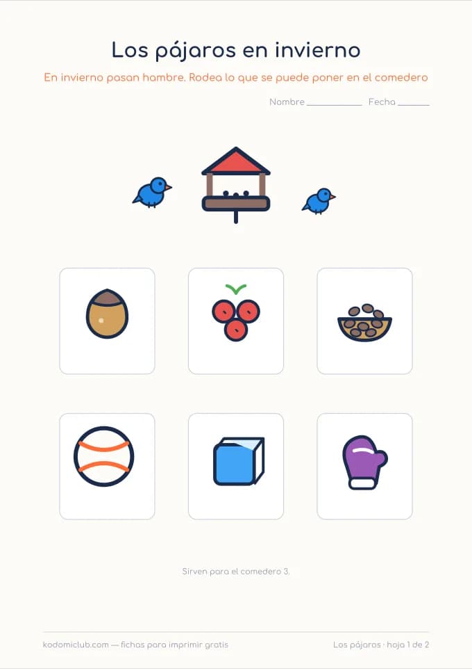 Los pájaros y su comida. Ficha para imprimir, 4–7 años