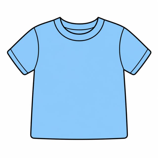 camiseta (shirt)