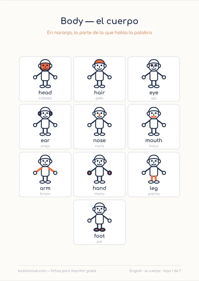 El cuerpo en inglés. Ficha para imprimir, 5–8 años